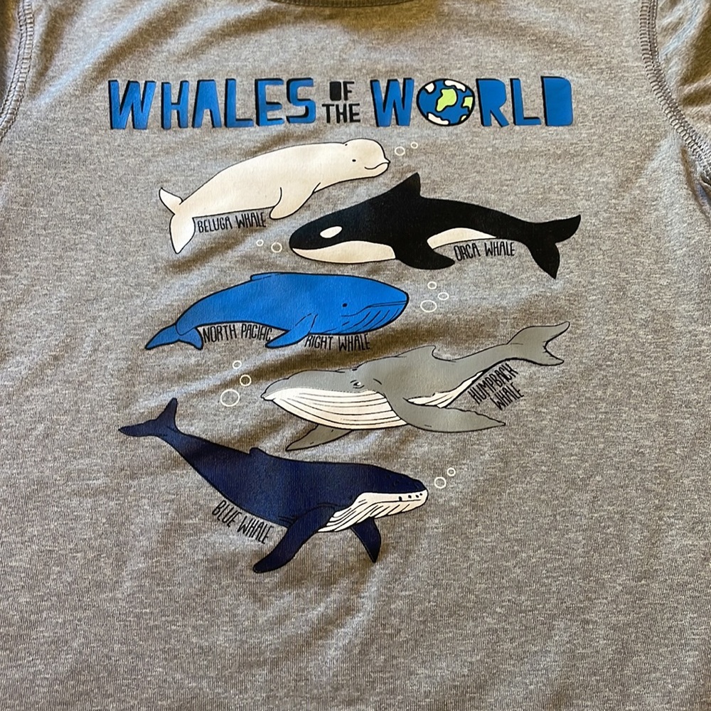 Cat & Jack Boys Short Sleeve Rashguard Size 4T - Picture 2 of 4